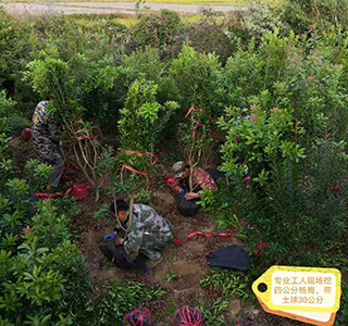 湖南森福木业有限公司,木结构别墅建造及制作,木凉亭建造及制作,木栈道建造及制作 湖南森福木业有限公司,木结构别墅建造及制作,木凉亭建造及制作,木栈道建造及制作
