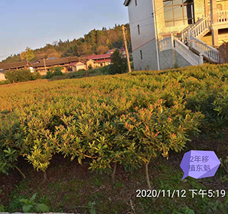 湖南森福木业有限公司,木结构别墅建造及制作,木凉亭建造及制作,木栈道建造及制作 湖南森福木业有限公司,木结构别墅建造及制作,木凉亭建造及制作,木栈道建造及制作