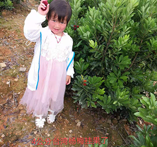 湖南森福木业有限公司,木结构别墅建造及制作,木凉亭建造及制作,木栈道建造及制作 湖南森福木业有限公司,木结构别墅建造及制作,木凉亭建造及制作,木栈道建造及制作